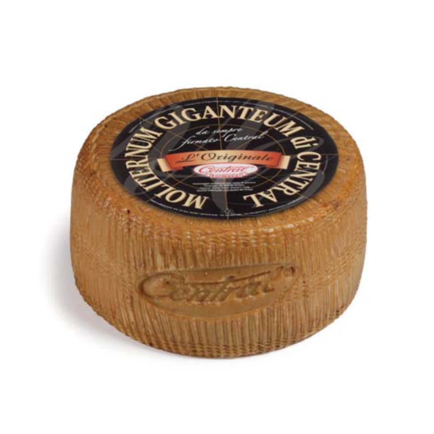 Moliterno Gigante Gourmet Cheese