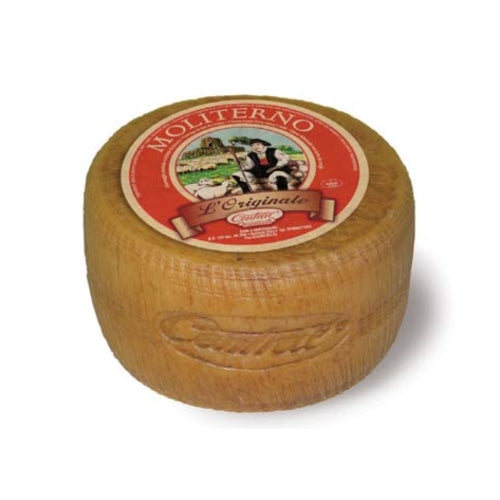 Semi-cooked Moliterno sheep's cheese