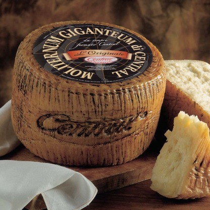 Moliterno Gigante Gourmet Cheese